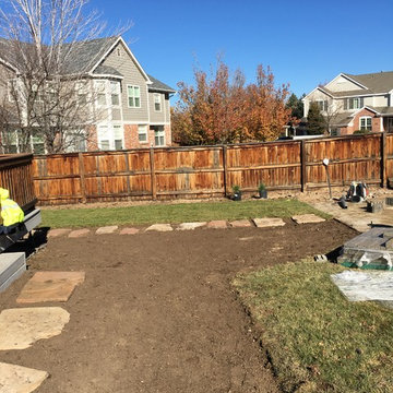 Highlands Ranch Landscape Renovation