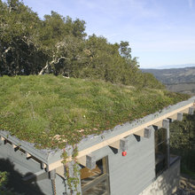 Roofs