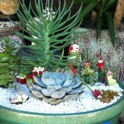 Succulent arrangements - Products