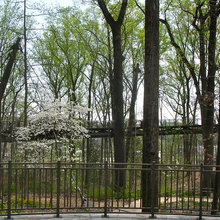 Metal Fencing