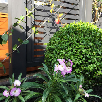 Kelburn patio 2