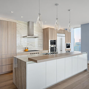 Chicago Home Renovation