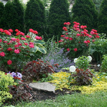 ucm grounds