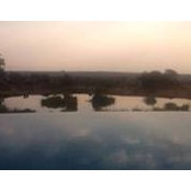 Cathy Grimes's photo