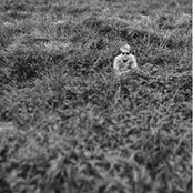 Ludvig Wikström's photo