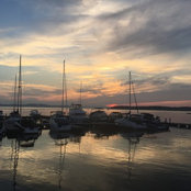 Amelia Johnson's photo