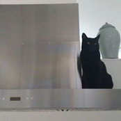 Foto von Sally Fraser