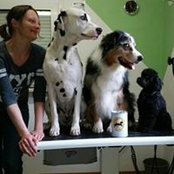 Foto von Melanie Herbert