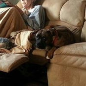 Tracy Alexander's photo