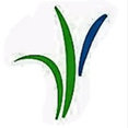 Precision Lawn & Landscaping, LLC's profile photo