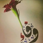 Wafaa Rasmys foto