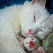 Vimala Sampath's photo