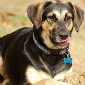 Nicole Twigg's photo