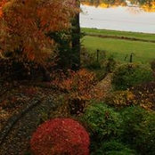 Mary Anne Morrell's photo