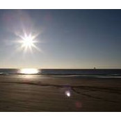 Sandi Dreer's photo