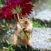 Jeannette McCurdy Dunn's photo