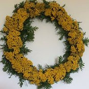 Tim Zinn's photo