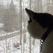 Neil Rask's photo