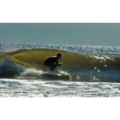 Sean Galligan's photo