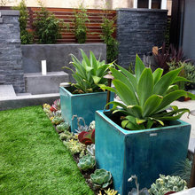 Container Garden