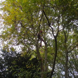 Installing a Treehouse Life Nest Swing project - Products