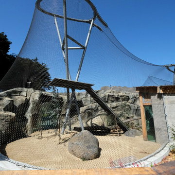 Snow Leopard Habitat