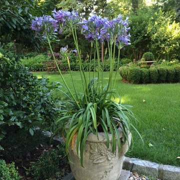 The causal elegant garden in CT