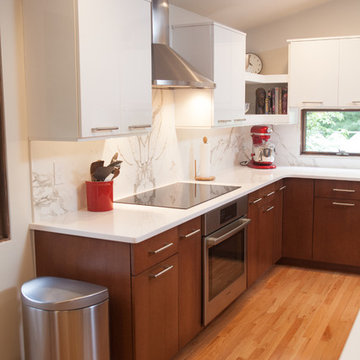 Contemporary Renovation