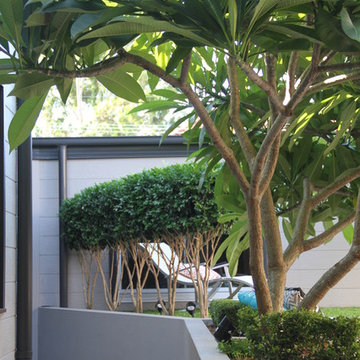 inner west entertainer