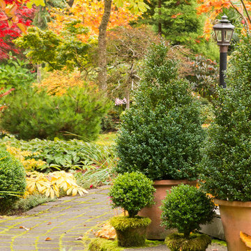 Moss elements in the garden