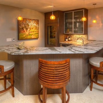 Lower Level Remodel