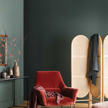 Paint Colour
