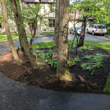 Wooded Lot Landscape Renovation