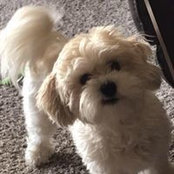 Kelly Rogg's photo