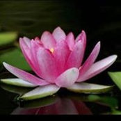 Kathleen Graham's photo