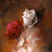 Abeer Al-Asady's photo