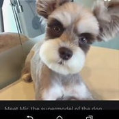 Nancy Dubreuil's photo