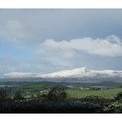 Clare Twomey's photo