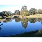 Debbie Wilson's photo