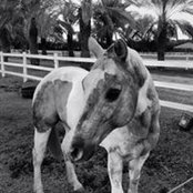Victoria Firestone's photo
