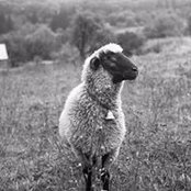 Sandy Bierbaum's photo