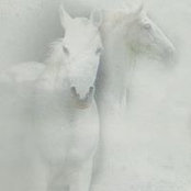 Irene Murphy's photo