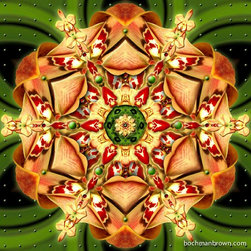 Orchids In Play - Prints And Posters