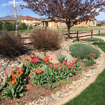 Garden, Rock, and Concrete Curbing