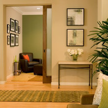 Pocket Doors