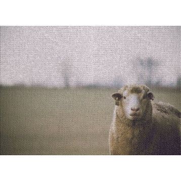 Sheep 20 Area Rug, 5'0"x7'0"