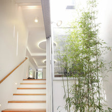 Architect