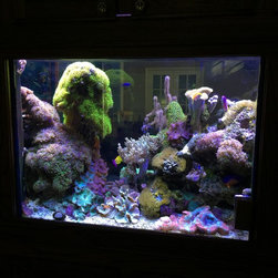 200 gallon reef - Products
