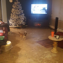 need floor