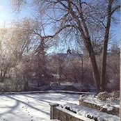 Nancy Muscat's photo